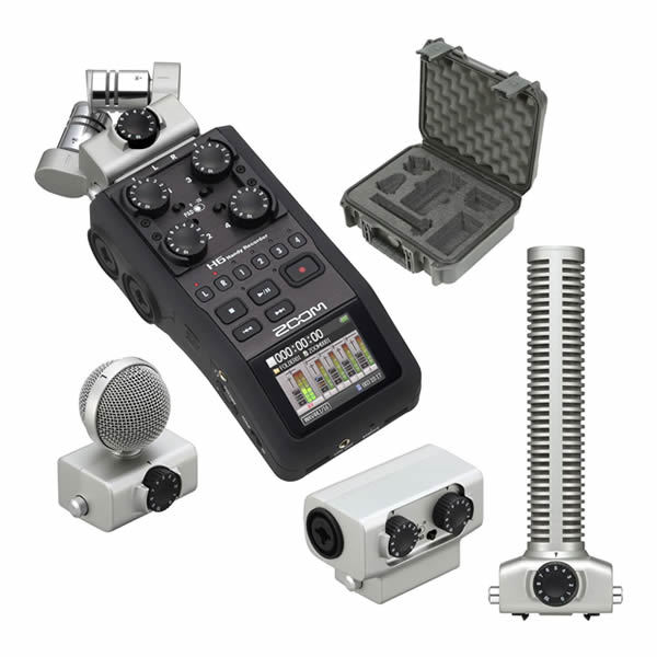 Zoom H6